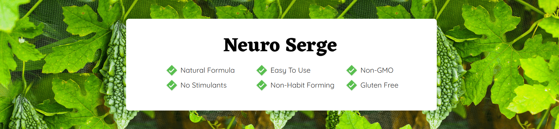 Neuro Serge Limited time deal